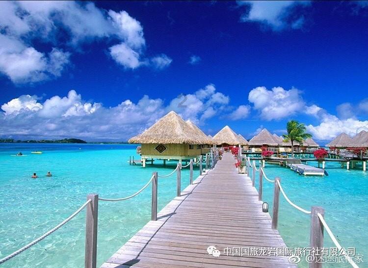 汽车行车要加油，在加油的时候如何选择合适的油号？游戏画面